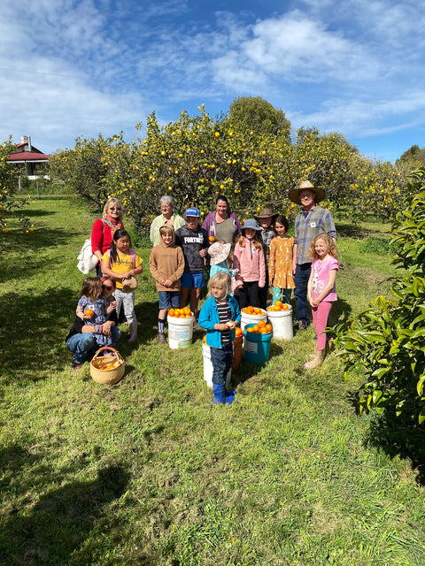 October 2022 - Home Schooling workshops