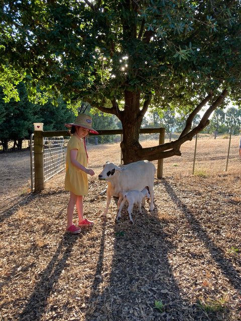 Samaria Rose Farm … January 2022