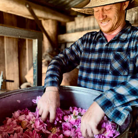 2025 Damask Rose Water Mini Steam Distilling Workshops