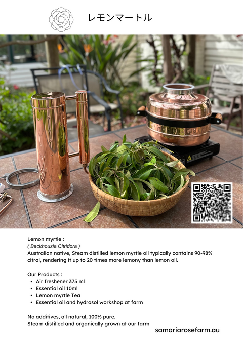 Gift wrapped Tea