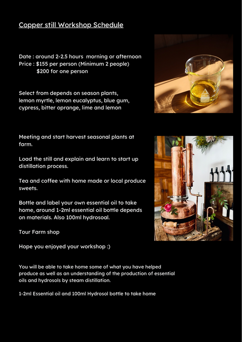 Workshop Essential oil