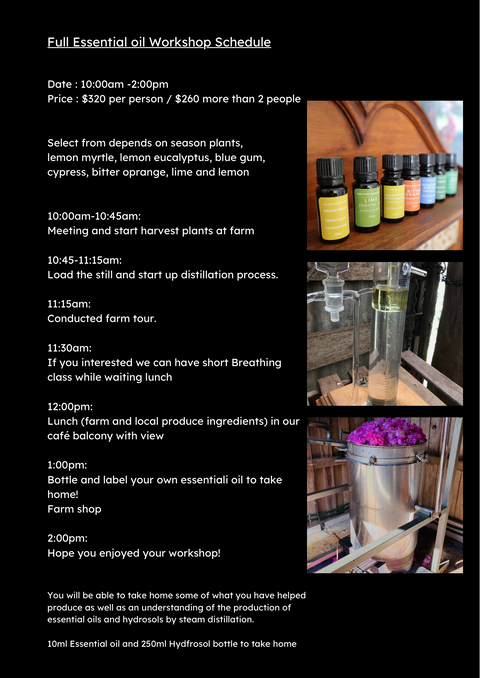 Workshop Essential oil