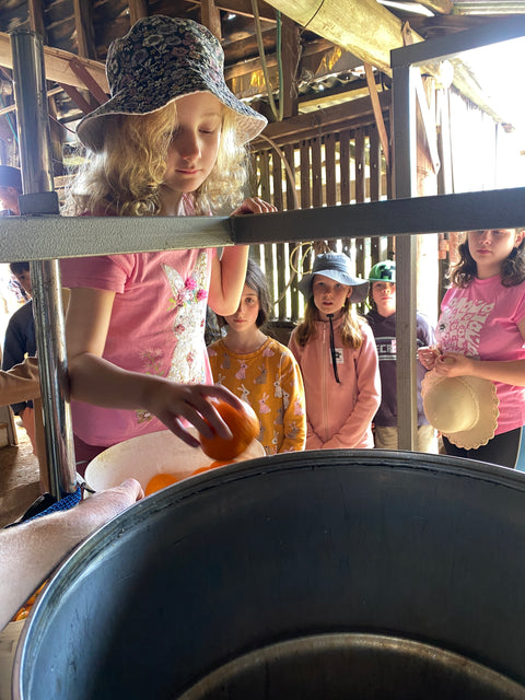 Homeschooling / Group Excursion Distilling Workshop