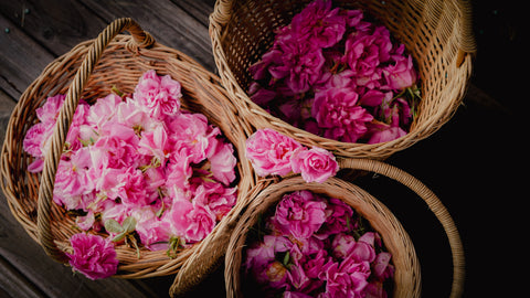 2025 Damask Rose Water Mini Steam Distilling Workshops