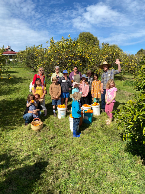 Essential oil Workshop Homeschooling Monday 23rd Mar 2026