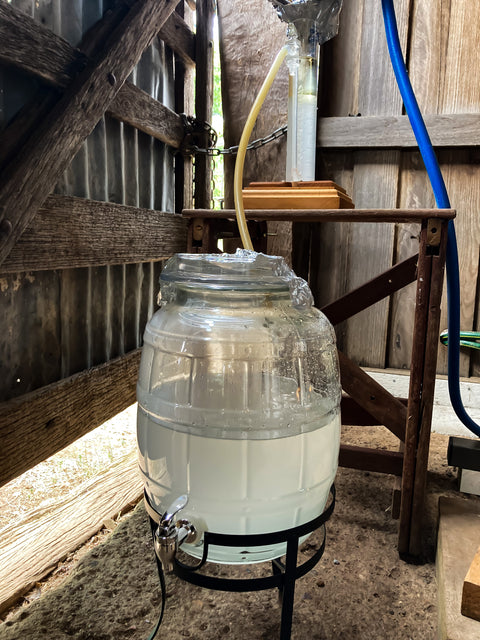 Essential oil Workshop Homeschooling Monday 23rd Mar 2026