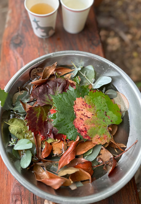 Aboriginal Wellbeing Bush Dye Sat 22Nov & Bush Medicine Workshop Sun 23Nov2025