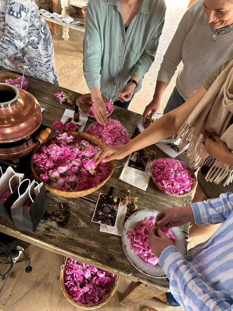 2025 Damask Rose Water Mini Steam Distilling Workshops