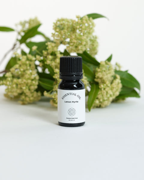 Lemon Myrtle Essential oil レモンマートル