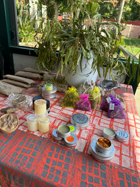 Aboriginal Wellbeing Bush Dye Sat 22Nov & Bush Medicine Workshop Sun 23Nov2025