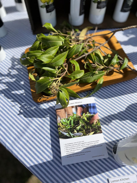 Tea Lemon myrtle