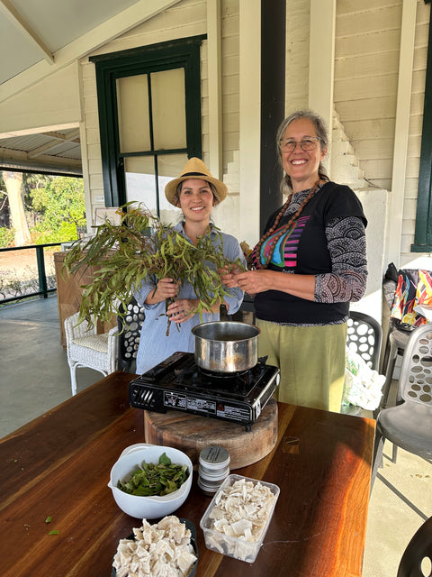 Aboriginal Wellbeing Bush Dye Sat 22Nov & Bush Medicine Workshop Sun 23Nov2025