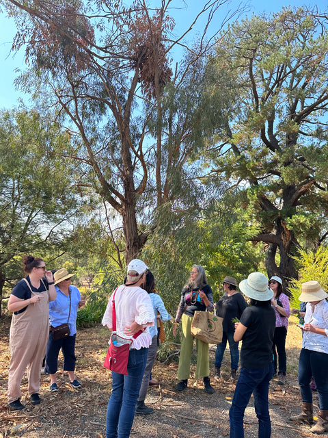 Aboriginal Wellbeing Bush Dye Sat 22Nov & Bush Medicine Workshop Sun 23Nov2025