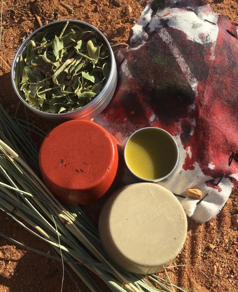 Aboriginal Wellbeing Bush Dye Sat 22Nov & Bush Medicine Workshop Sun 23Nov2025