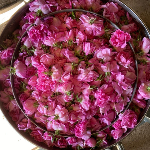 Damaskrose Essential oil 100% 2ml
