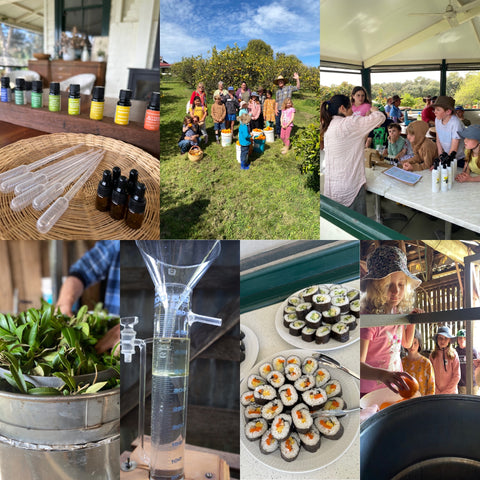 Homeschooling / Group Excursion Distilling Workshop