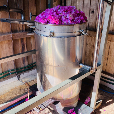 Damask Rose Distilling Full Workshop (Only Spring season)