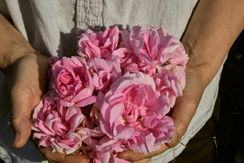 International Woman's Day