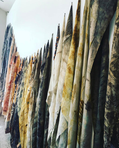 Aboriginal Wellbeing  Bush Dye Sat 22Nov & Bush Medicine Workshop Sun 23Nov2025