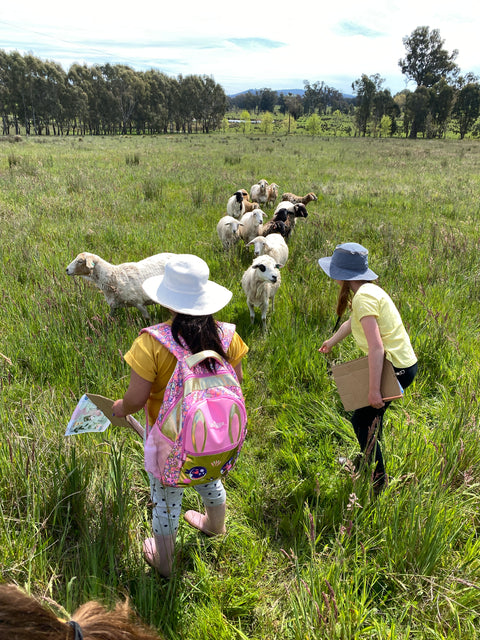 Essential oil Workshop Homeschooling Monday 23rd Mar 2026