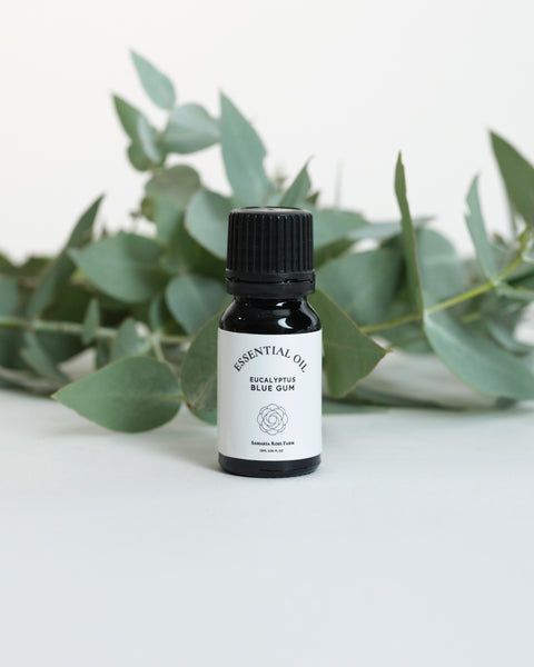 Blue Gum essential oil　ブルーガムユーカリプタス